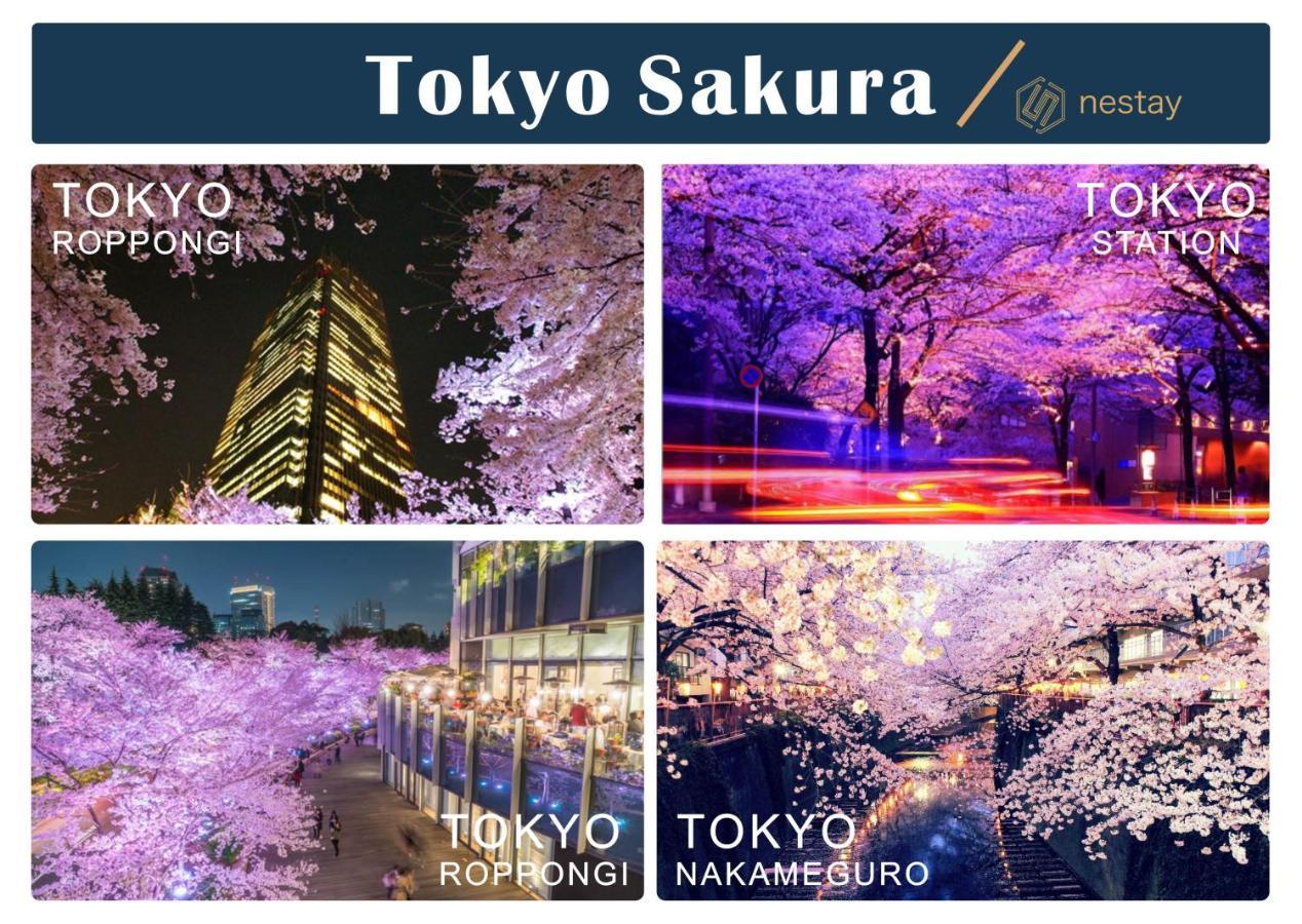 Nestay Villa Tokyo Shinjuku Bagian luar foto